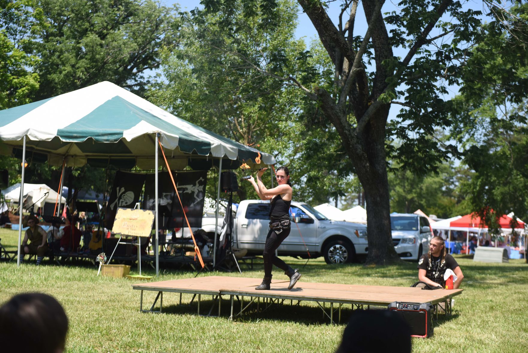 Festival in the Park